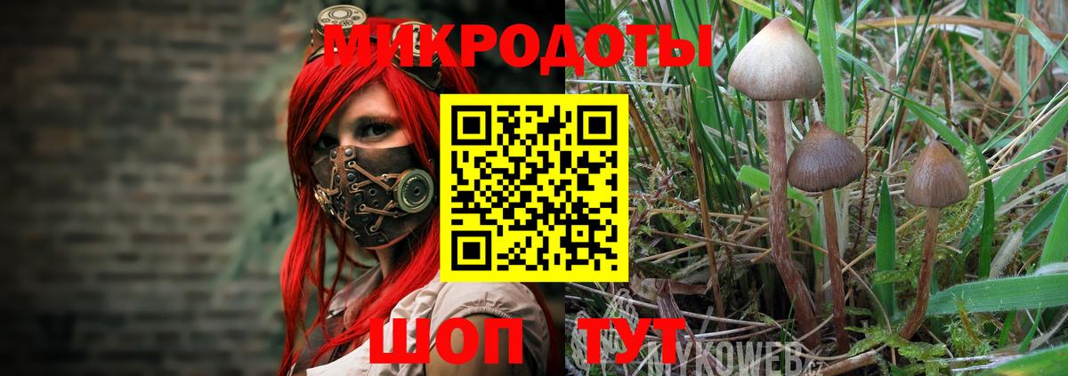 Псилоцибиновые грибы мухоморы Заволжье
